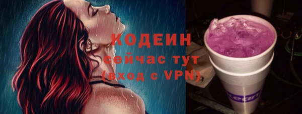 твердый Инта