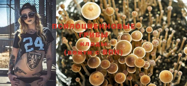 тгк Иннополис