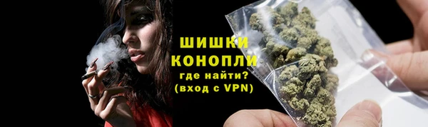 твердый Инта