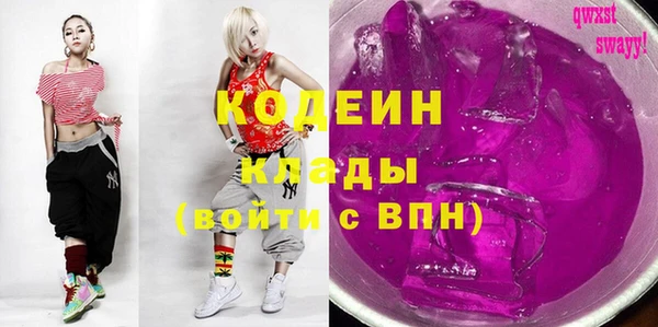 твердый Инта