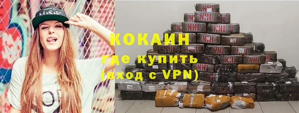 твердый Инта