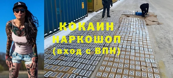 твердый Инта