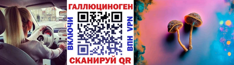 Купить закладки  Сельцо  Галлюциногенные грибы прущие грибы 