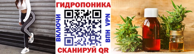Конопля OG Kush  Купить  Сельцо 